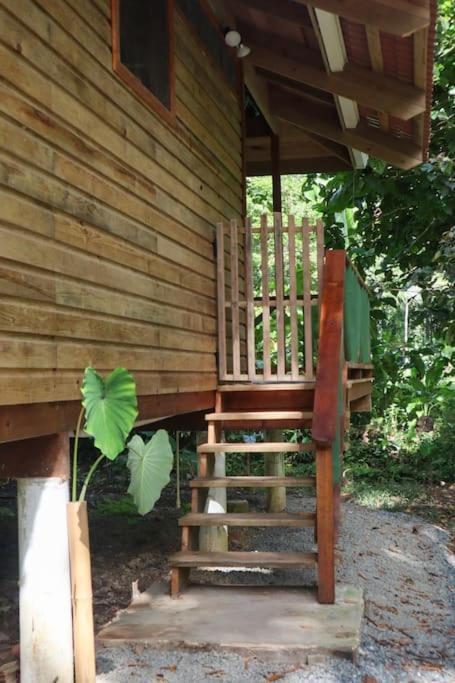 Jungle Beach 2 Bedroom Cottage Bocas del Toro Exterior foto